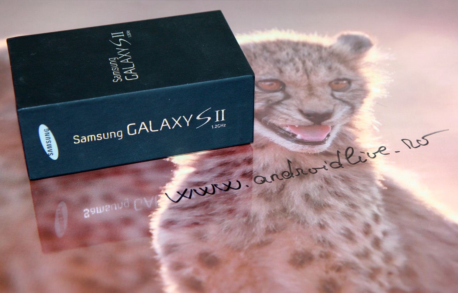 Telefonul Samsung Galaxy S II (koyos.ro)